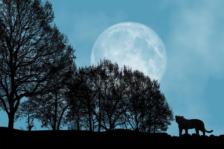 The Full moon rising