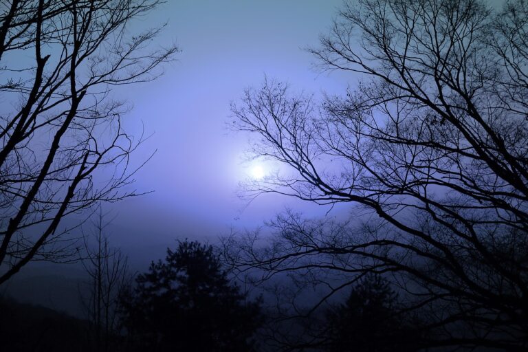 The moon in PIsces - a soft focus activates right brain thinking.