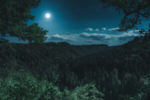 The full moon clarifies the landscape